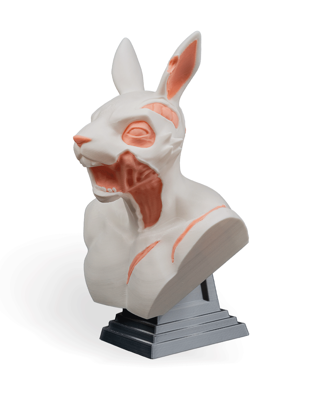 RotTail Bust - Image 8