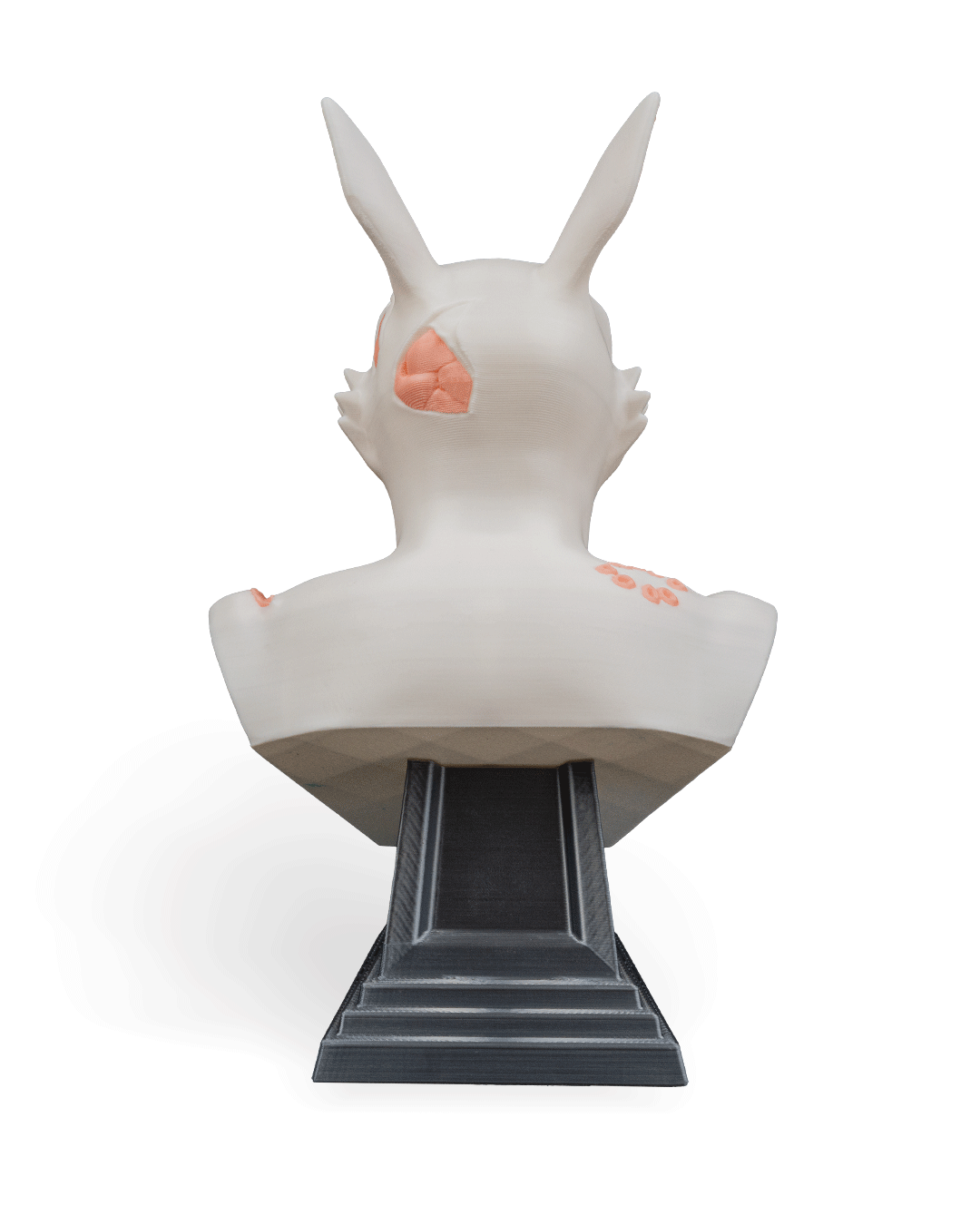 RotTail Bust - Image 10