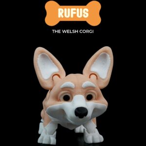 Rufus, the Welsh Corgi 