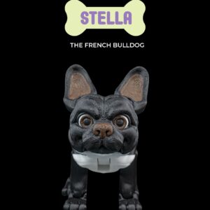 Stella, the French Bulldog