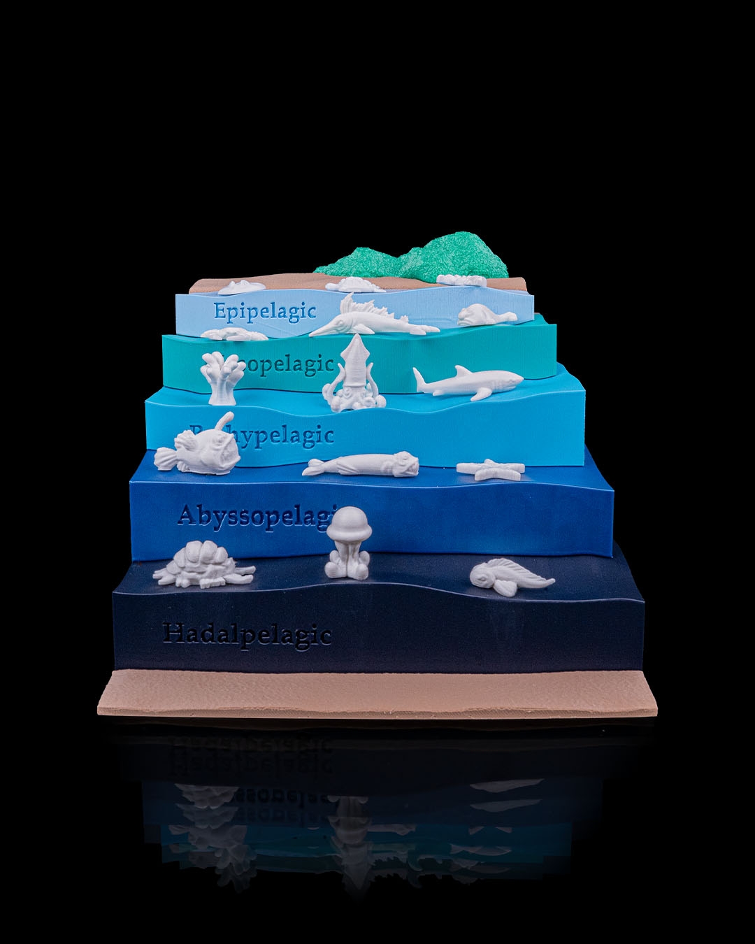 Sea Through - Image 2