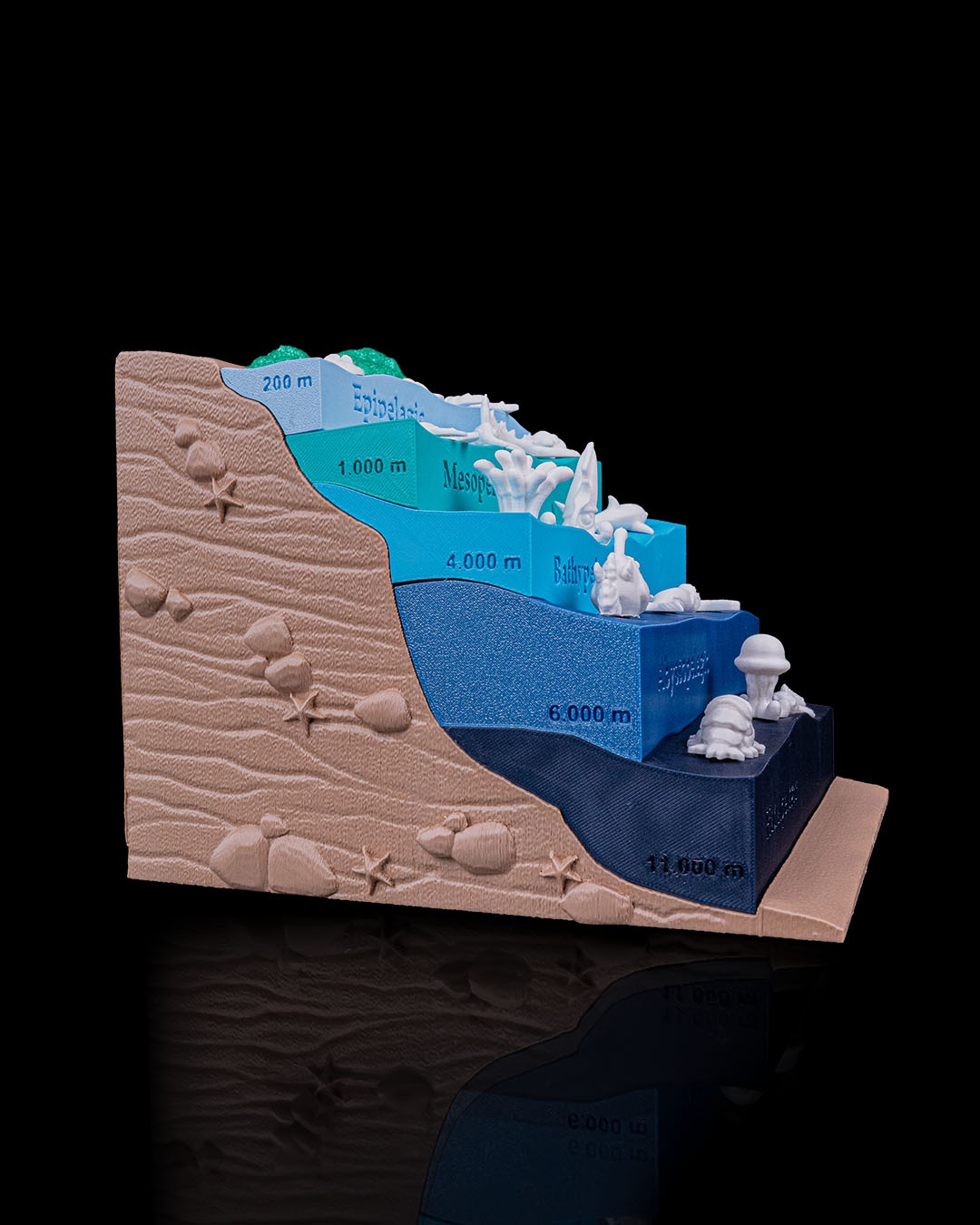 Sea Through - Image 3