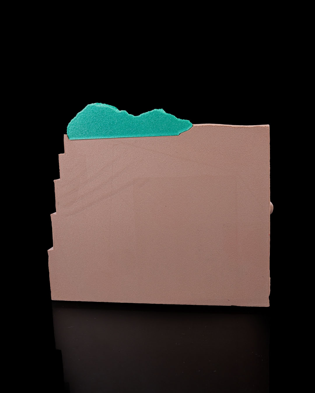 Sea Through - Image 4