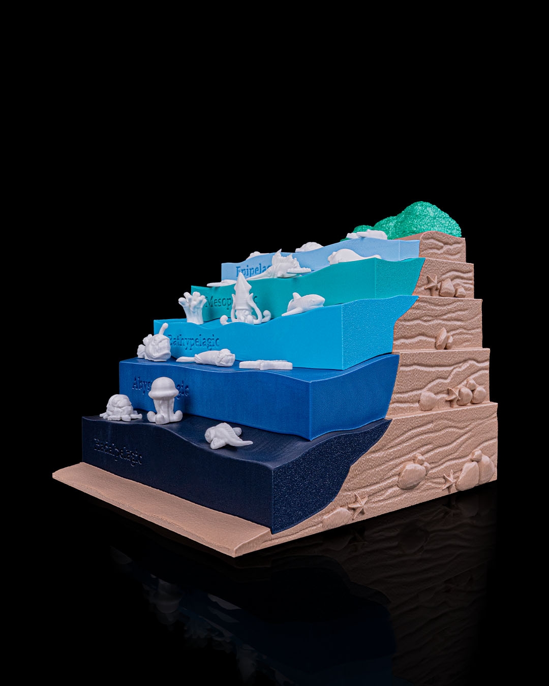 Sea Through - Image 6