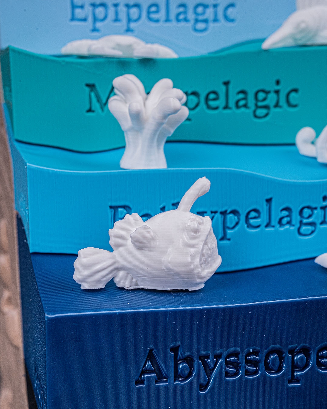 Sea Through - Image 9