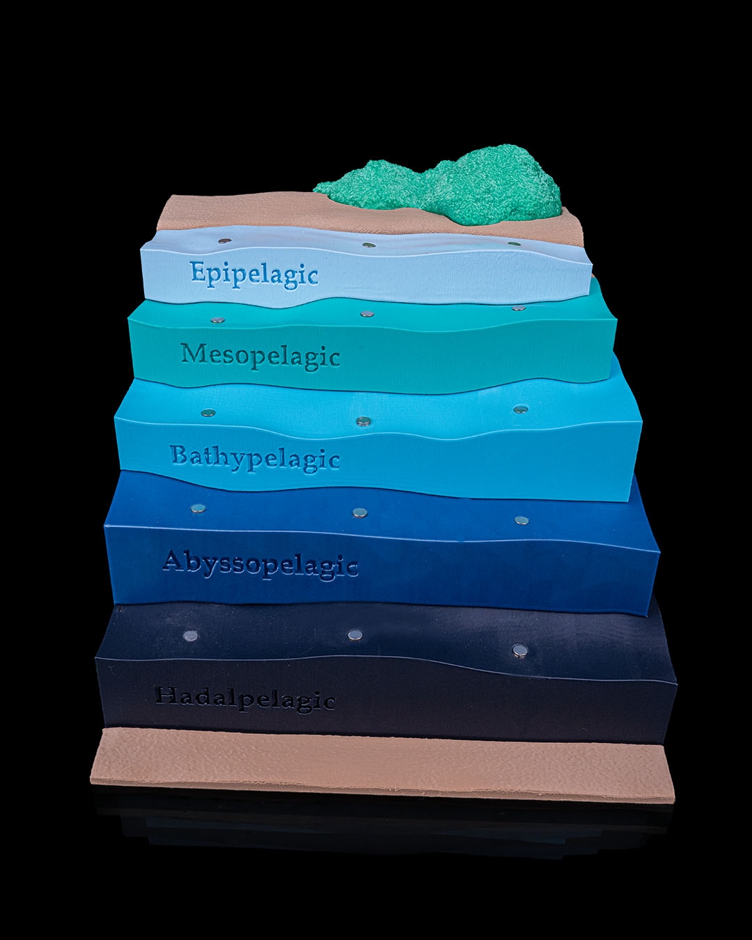 Sea Through - Image 10