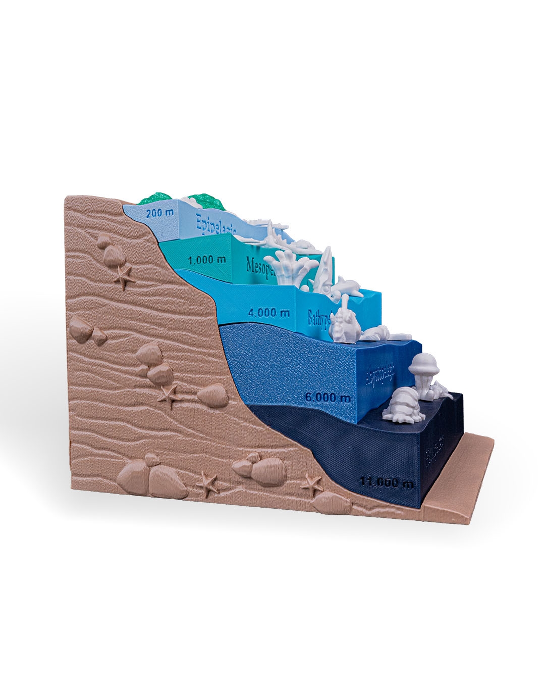 Sea Through - Image 12