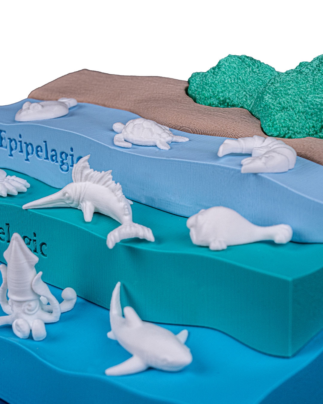 Sea Through - Image 16