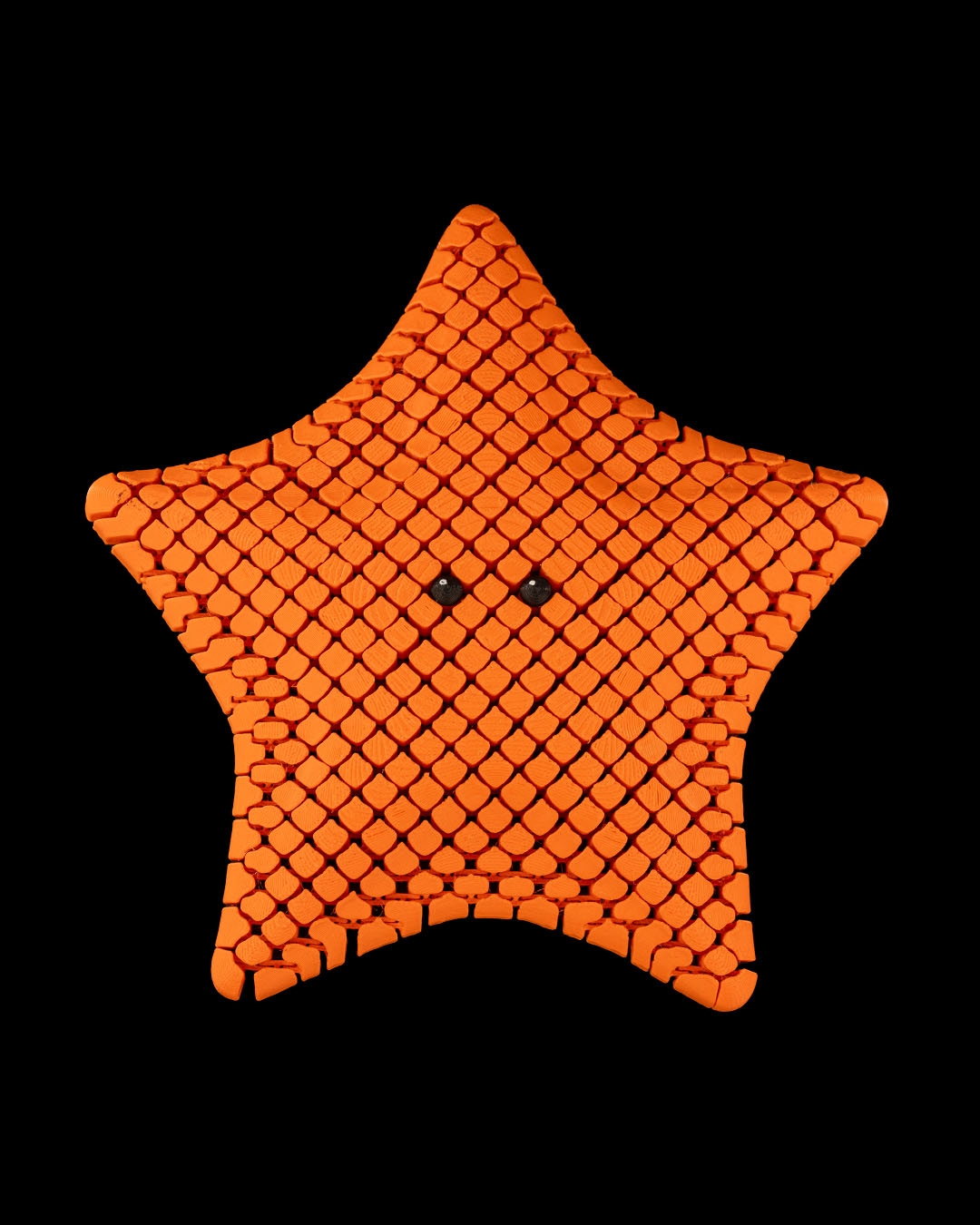 Betsie, the Bat Sea Star - Image 2