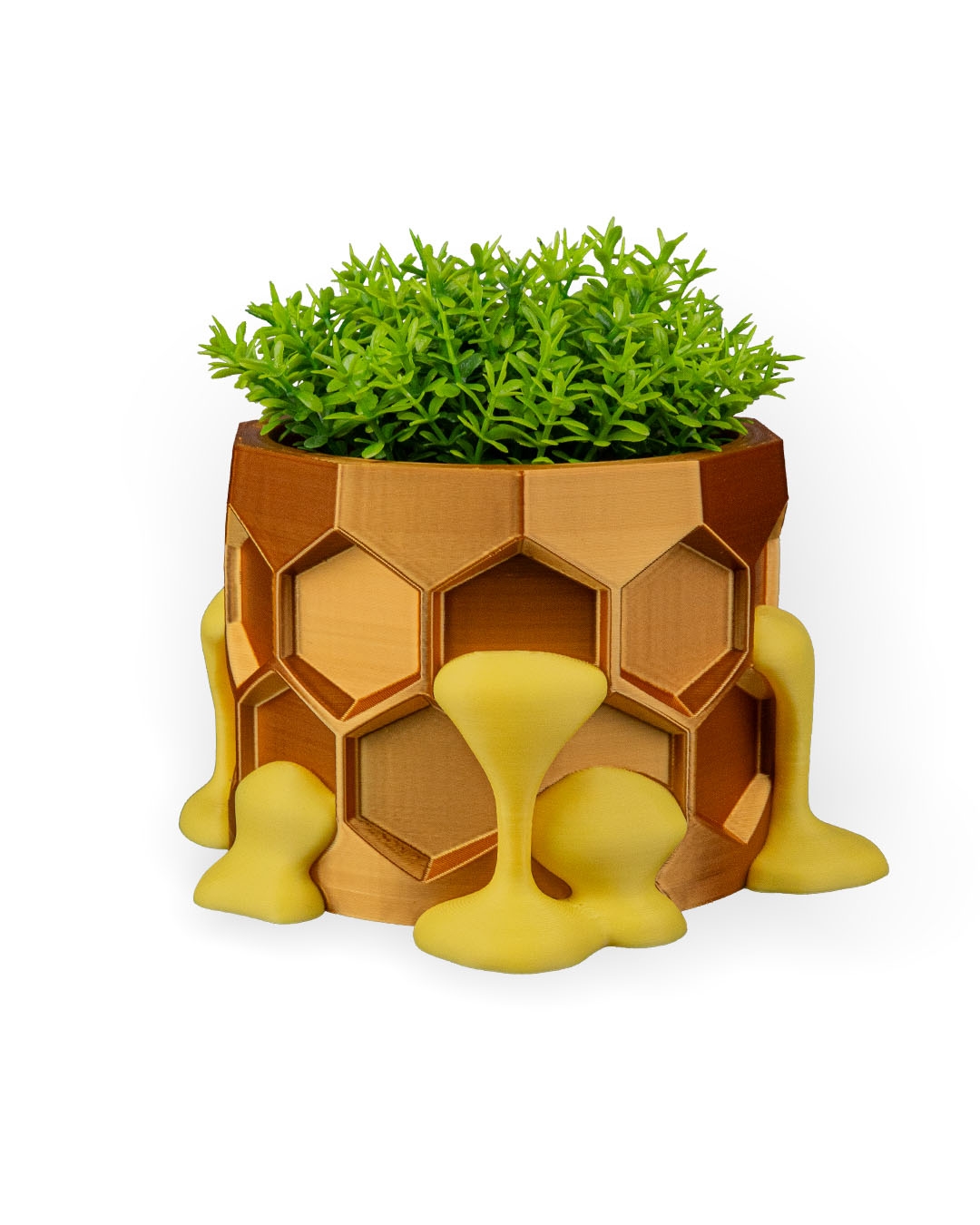 Hive Minded Planter - Image 7