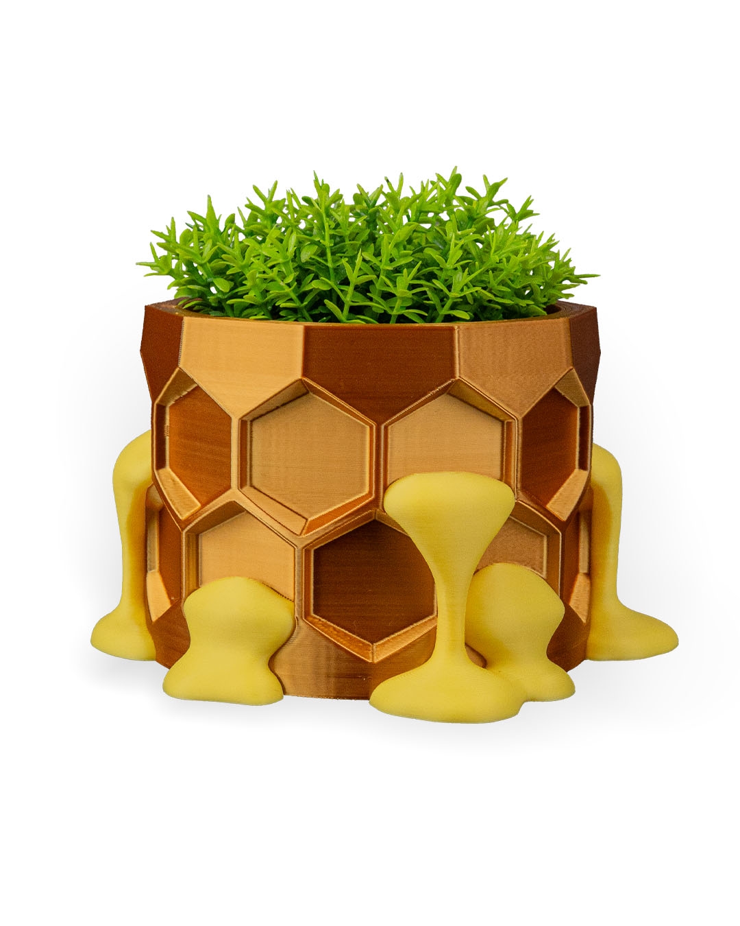 Hive Minded Planter - Image 9