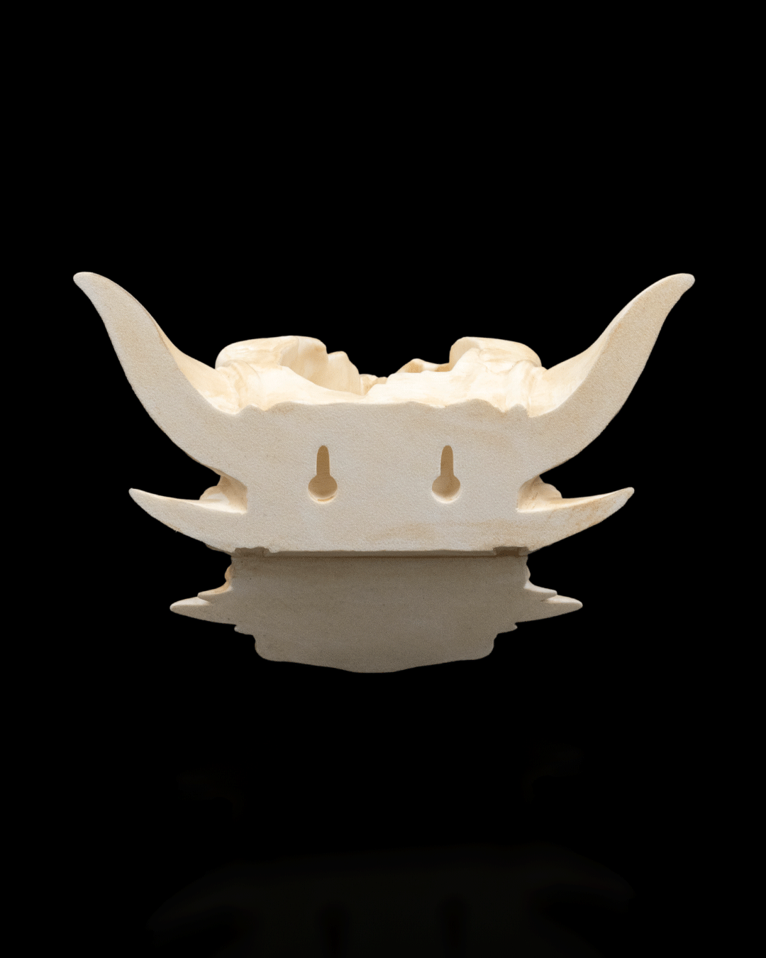 Drip & Decay - Planter - Image 8