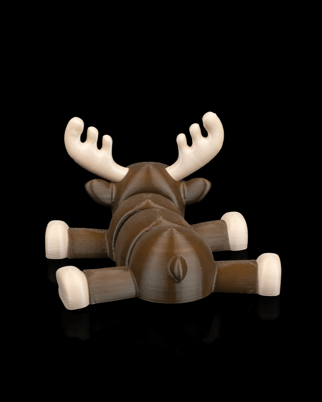 Moose Settle - Image 5