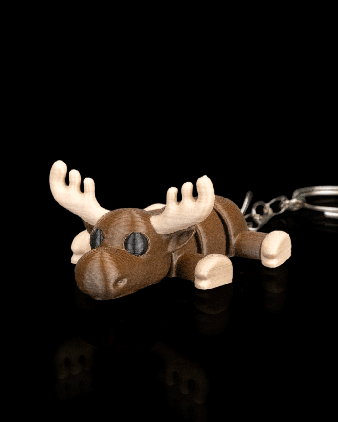 Moose Settle - Image 6