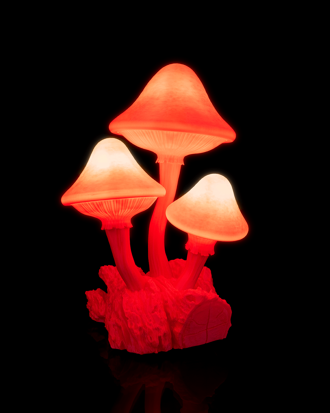 Night Shroom - Table Lamp - Image 7
