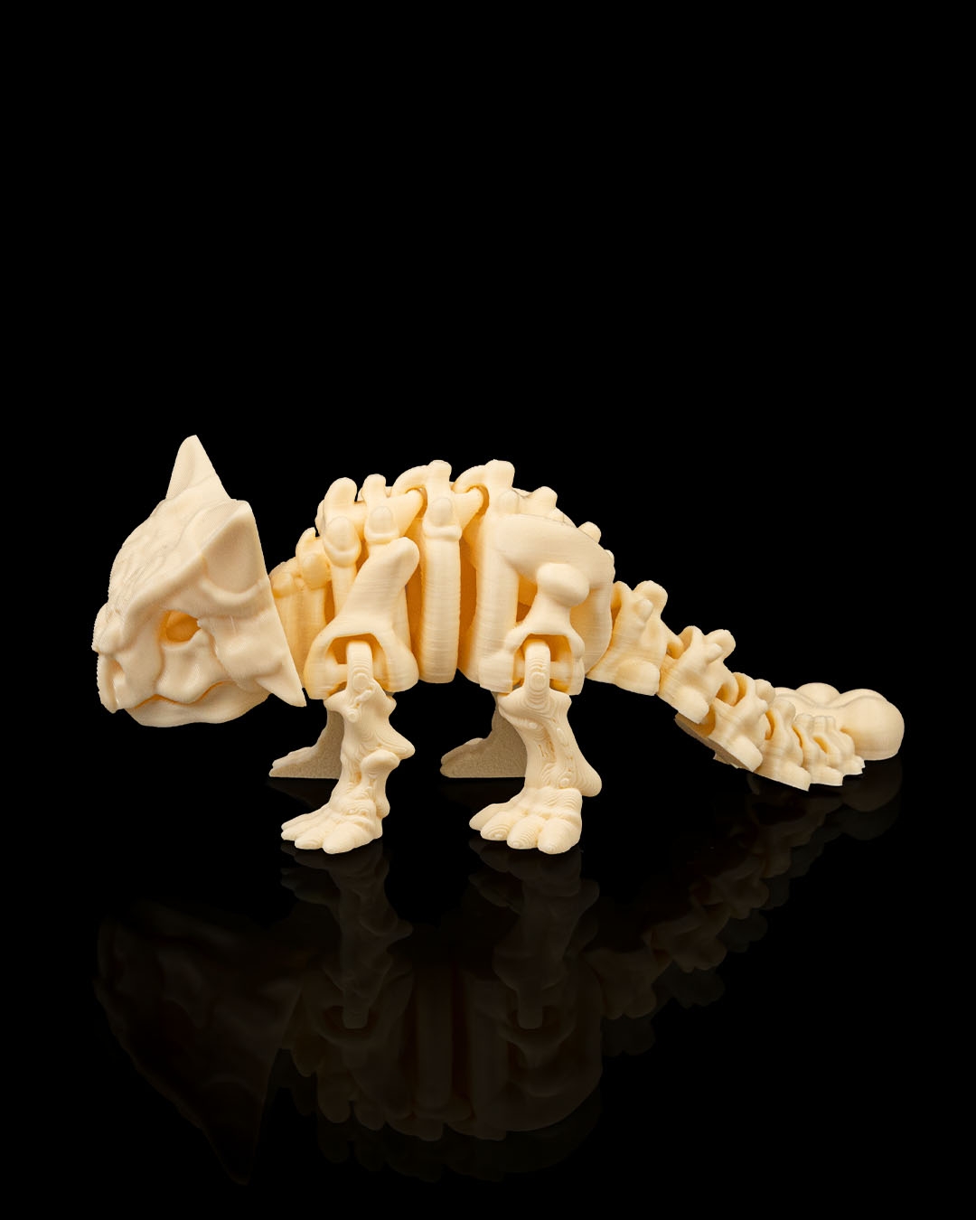 Skeleton Ankylosaurus - Image 4