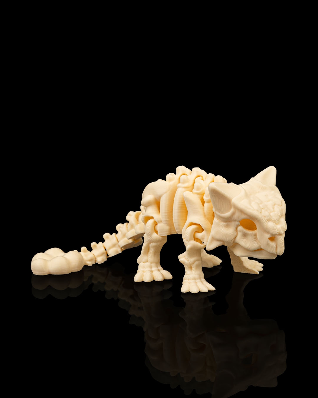 Skeleton Ankylosaurus - Image 6