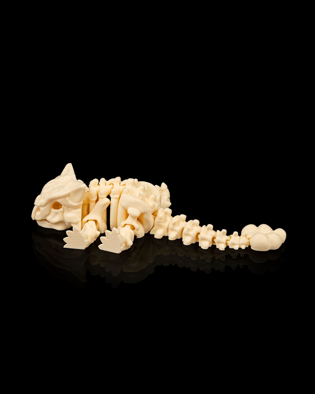 Skeleton Ankylosaurus - Image 3