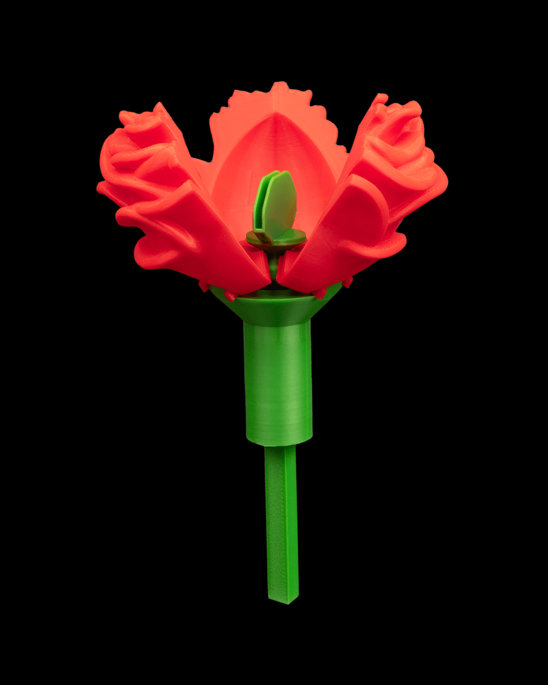 Sweet Rose - Container & Ring Box - Image 6