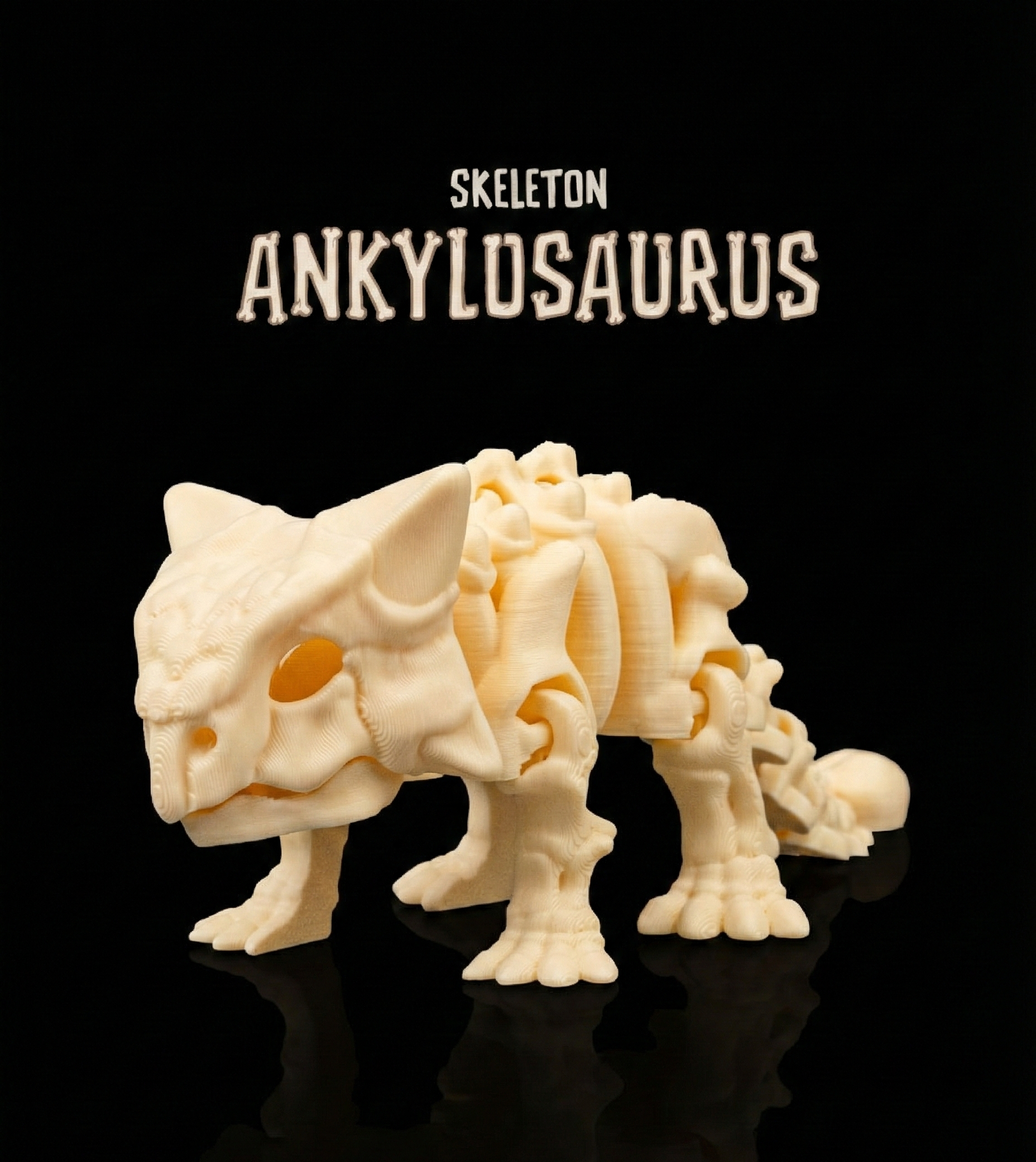 Ankylosaurus Skeleto