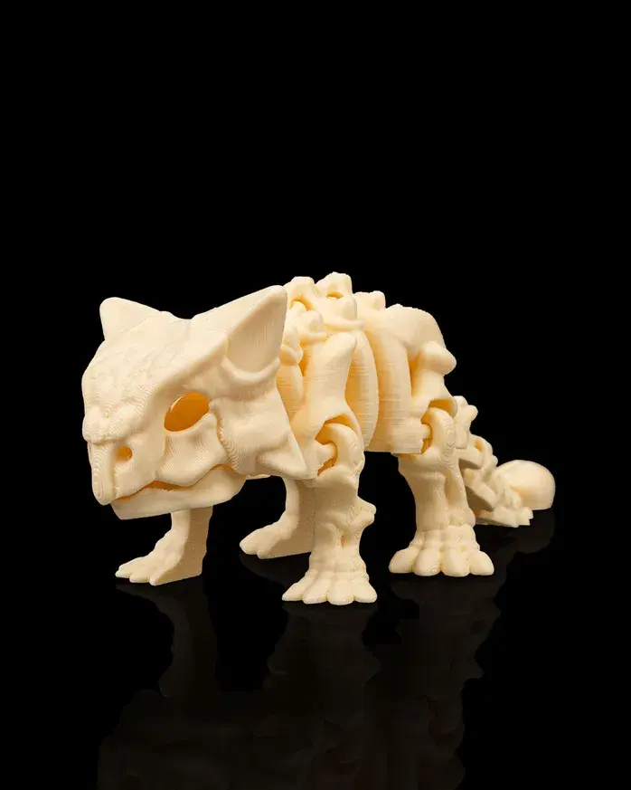 Skeleton Ankylosaurus