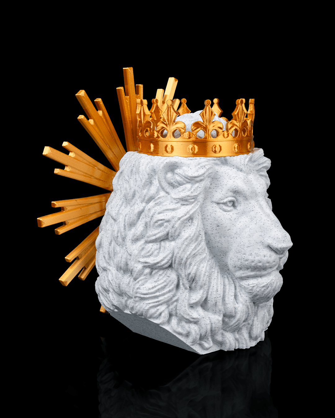 Leão de Judá - Image 3