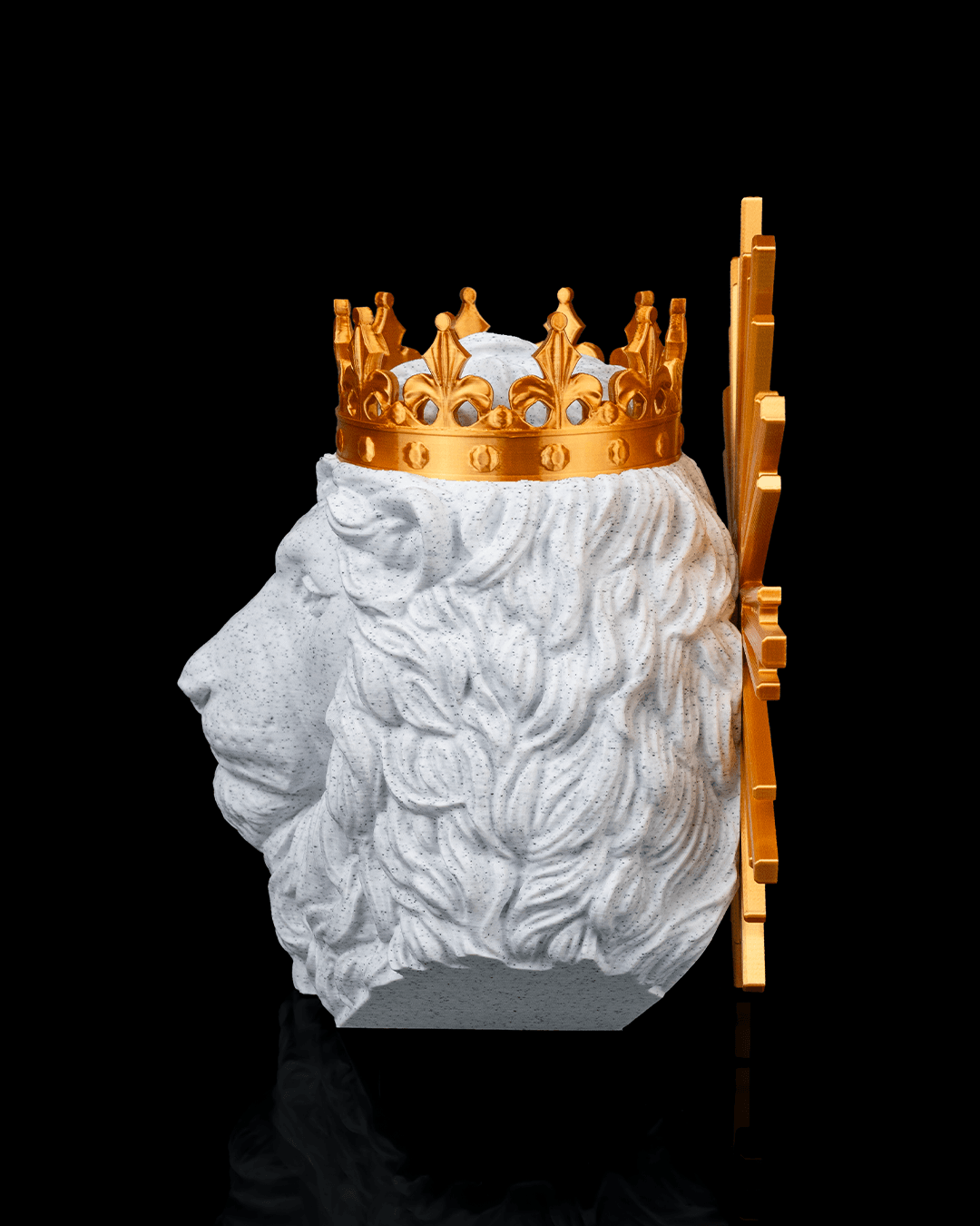 Leão de Judá - Image 6