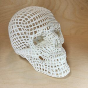 Mesh Skull