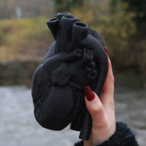 Cœur anatomique décoratif Sculpture artistique