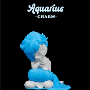 Aquarius Charm
